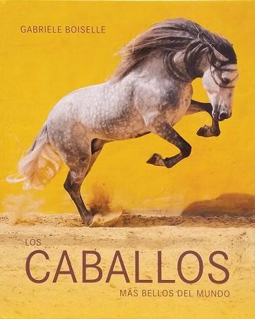 LOS CABALLOS MÁS BELLOS DEL MUNDO | 9783864075636 | BOISELLE, GABRIELE | Llibres Parcir | Llibreria Parcir | Llibreria online de Manresa | Comprar llibres en català i castellà online