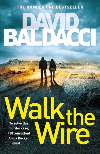 WALK THE WIRE | 9781509874538 | BALDACCI, DAVID | Llibres Parcir | Llibreria Parcir | Llibreria online de Manresa | Comprar llibres en català i castellà online