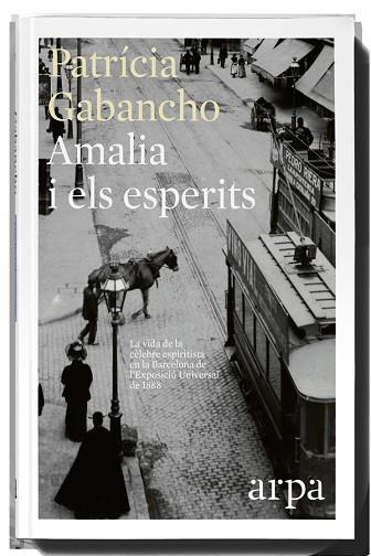 AMALIA I ELS ESPERITS | 9788416601318 | PATRÍCIA GABANCHO | Llibres Parcir | Llibreria Parcir | Llibreria online de Manresa | Comprar llibres en català i castellà online