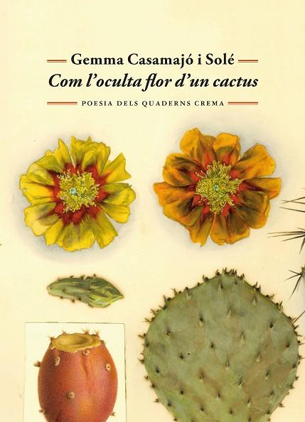 COM L'OCULTA FLOR D'UN CACTUS | 9788477277071 | CASAMAJÓ I SOLÉ, GEMMA | Llibres Parcir | Librería Parcir | Librería online de Manresa | Comprar libros en catalán y castellano online
