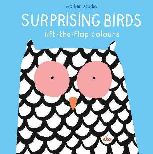 SURPRISING BIRDS - COLOURS | 9781406379501 | ELO | Llibres Parcir | Llibreria Parcir | Llibreria online de Manresa | Comprar llibres en català i castellà online