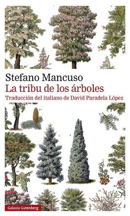 LA TRIBU DE LOS ÁRBOLES | 9788419392510 | MANCUSO, STEFANO | Llibres Parcir | Librería Parcir | Librería online de Manresa | Comprar libros en catalán y castellano online