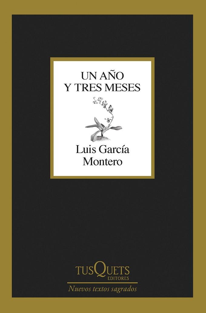 UN AÑO Y TRES MESES | 9788411071475 | GARCÍA MONTERO, LUIS | Llibres Parcir | Librería Parcir | Librería online de Manresa | Comprar libros en catalán y castellano online