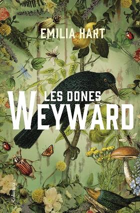 LES DONES WEYWARD | 9788466430210 | HART, EMILIA | Llibres Parcir | Llibreria Parcir | Llibreria online de Manresa | Comprar llibres en català i castellà online