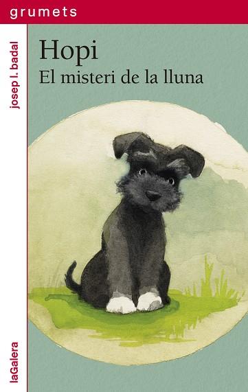 HOPI 1. EL MISTERI DE LA LLUNA | 9788424675271 | BADAL, JOSEP LL | Llibres Parcir | Librería Parcir | Librería online de Manresa | Comprar libros en catalán y castellano online