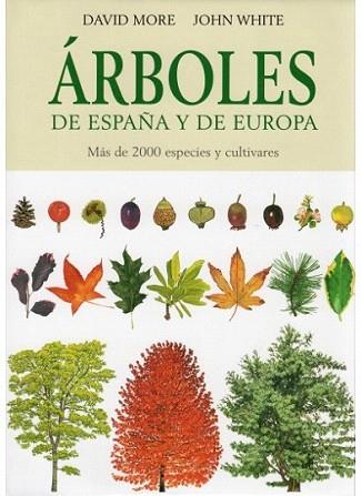 ARBOLES DE ESPANA Y EUROPA | 9788428213691 | DAVID MORE JOHN WHITE | Llibres Parcir | Librería Parcir | Librería online de Manresa | Comprar libros en catalán y castellano online