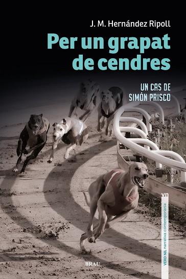 PER UN GRAPAT DE CENDRES | 9788418096440 | HERNÁNDEZ RIPOLL, JOSEP M | Llibres Parcir | Librería Parcir | Librería online de Manresa | Comprar libros en catalán y castellano online