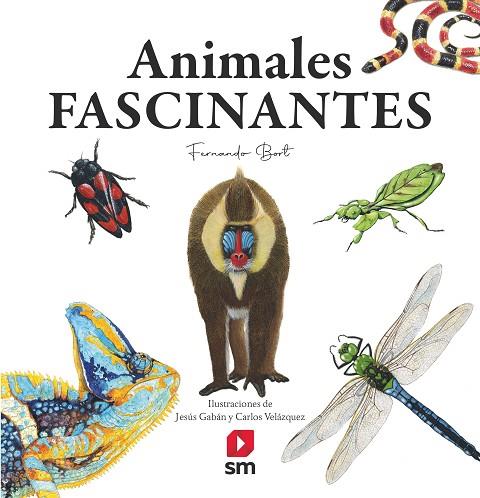 ANIMALES FASCINANTES | 9788413922188 | BORT MISOL, FERNANDO | Llibres Parcir | Llibreria Parcir | Llibreria online de Manresa | Comprar llibres en català i castellà online