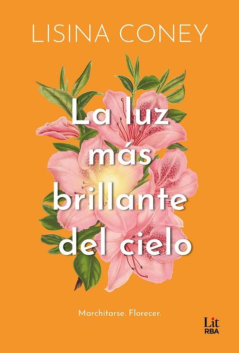 LA LUZ MÁS BRILLANTE DEL CIELO | 9788411329323 | CONEY, LISINA | Llibres Parcir | Librería Parcir | Librería online de Manresa | Comprar libros en catalán y castellano online