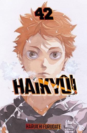 HAIKYÛ!! Nº 42/45 | 9791388101090 | FURUDATE, HARUICHI | Llibres Parcir | Llibreria Parcir | Llibreria online de Manresa | Comprar llibres en català i castellà online