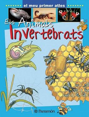 ELS ANIMALS INVERTEBRATS | 9788434227149 | MARCET, XAVIER | Llibres Parcir | Librería Parcir | Librería online de Manresa | Comprar libros en catalán y castellano online
