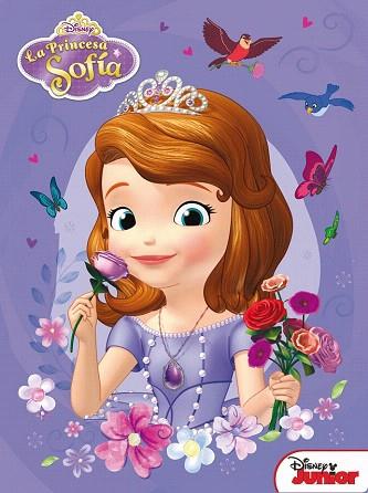 PRINCESA SOFIA. CAJA METALICA | 9788499516868 | DISNEY | Llibres Parcir | Librería Parcir | Librería online de Manresa | Comprar libros en catalán y castellano online