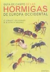 GUÍA DE CAMPO DE LAS HORMIGAS DE EUROPA OCCIDENTAL | 9788428216630 | LEBAS, CLAUDE/GALKOWSKI, CHRISTOPHE | Llibres Parcir | Llibreria Parcir | Llibreria online de Manresa | Comprar llibres en català i castellà online