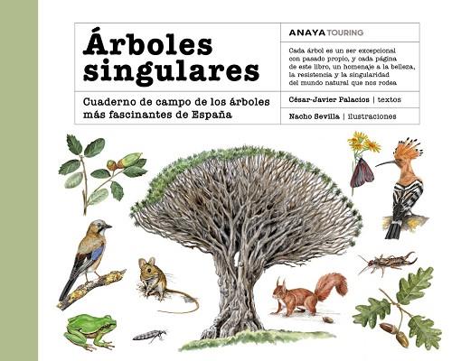 ÁRBOLES SINGULARES | 9788491589273 | PALACIOS PALOMAR, CÉSAR JAVIER | Llibres Parcir | Llibreria Parcir | Llibreria online de Manresa | Comprar llibres en català i castellà online