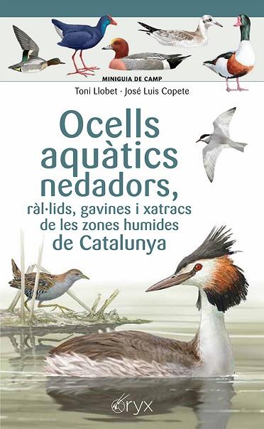 OCELLS AQUÀTICS NEDADORS, RÀL·LIDS, GAVINES I XATRACS DE LES ZONES HUMIDES DE CA | 9788413564883 | COPETE, JOSÉ LUIS | Llibres Parcir | Llibreria Parcir | Llibreria online de Manresa | Comprar llibres en català i castellà online