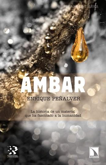 ÁMBAR | 9788483197349 | PEÑALVER, ENRIQUE | Llibres Parcir | Librería Parcir | Librería online de Manresa | Comprar libros en catalán y castellano online