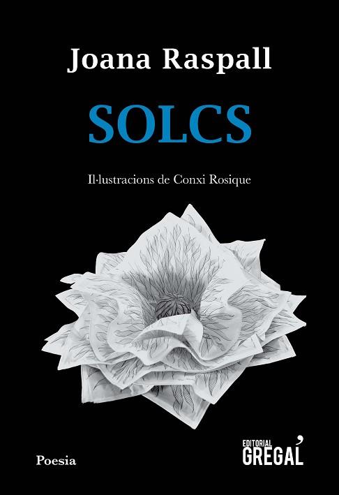 SOLCS | 9788417082598 | RASPALL, JOANA | Llibres Parcir | Llibreria Parcir | Llibreria online de Manresa | Comprar llibres en català i castellà online