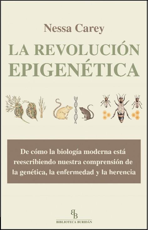 LA REVOLUCIÓN EPIGENÉTICA | 9788415216230 | CAREY, NESSA | Llibres Parcir | Librería Parcir | Librería online de Manresa | Comprar libros en catalán y castellano online