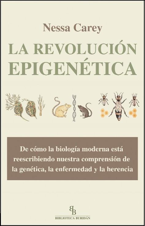 LA REVOLUCIÓN EPIGENÉTICA | 9788415216230 | CAREY, NESSA | Llibres Parcir | Llibreria Parcir | Llibreria online de Manresa | Comprar llibres en català i castellà online