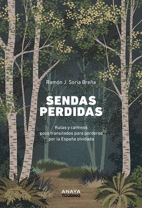 SENDAS PERDIDAS | 9788491588948 | SORIA BREÑA, RAMÓN J. | Llibres Parcir | Librería Parcir | Librería online de Manresa | Comprar libros en catalán y castellano online