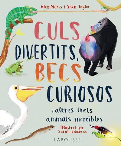 CULS DIVERTITS, BECS CURIOSOS | 9788419436016 | MORSS, ALEX/TAYLOR, SEAN | Llibres Parcir | Librería Parcir | Librería online de Manresa | Comprar libros en catalán y castellano online