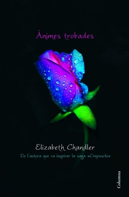 Ànimes trobades | 9788466415095 | Elizabeth Chandler | Llibres Parcir | Llibreria Parcir | Llibreria online de Manresa | Comprar llibres en català i castellà online