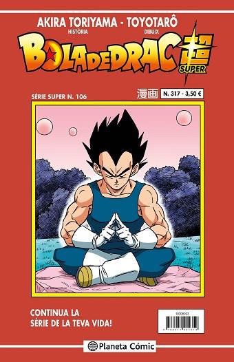 BOLA DE DRAC SERIE VERMELLA N. 317 | 9788411616591 | TORIYAMA, AKIRA | Llibres Parcir | Librería Parcir | Librería online de Manresa | Comprar libros en catalán y castellano online
