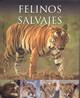 FELINOS SALVAJES | 9781445453323 | AAVV | Llibres Parcir | Llibreria Parcir | Llibreria online de Manresa | Comprar llibres en català i castellà online
