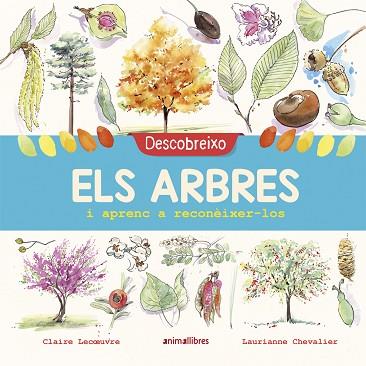 DESCOBREIXO ELS ARBRES I APRENC A RECONÈIXER-LOS | 9788417599195 | LECOEUVRE, CLAIRE | Llibres Parcir | Llibreria Parcir | Llibreria online de Manresa | Comprar llibres en català i castellà online