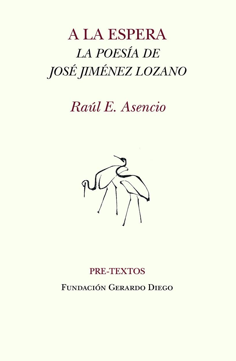 A LA ESPERA | 9788419633019 | E. ASENCIO, RAÚL | Llibres Parcir | Librería Parcir | Librería online de Manresa | Comprar libros en catalán y castellano online