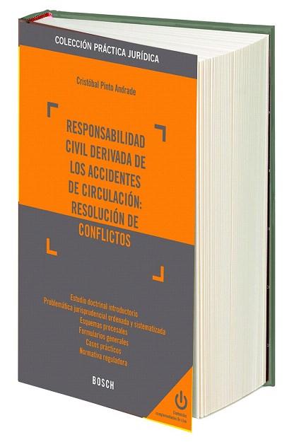 RESPONSABILIDAD CIVIL DERIVADA DE LOS ACCIDENTES DE CIRCULACIÓN: RESOLUCIÓN DE C | 9788416018833 | PINTO ANDRADE, CRISTÓBAL | Llibres Parcir | Llibreria Parcir | Llibreria online de Manresa | Comprar llibres en català i castellà online