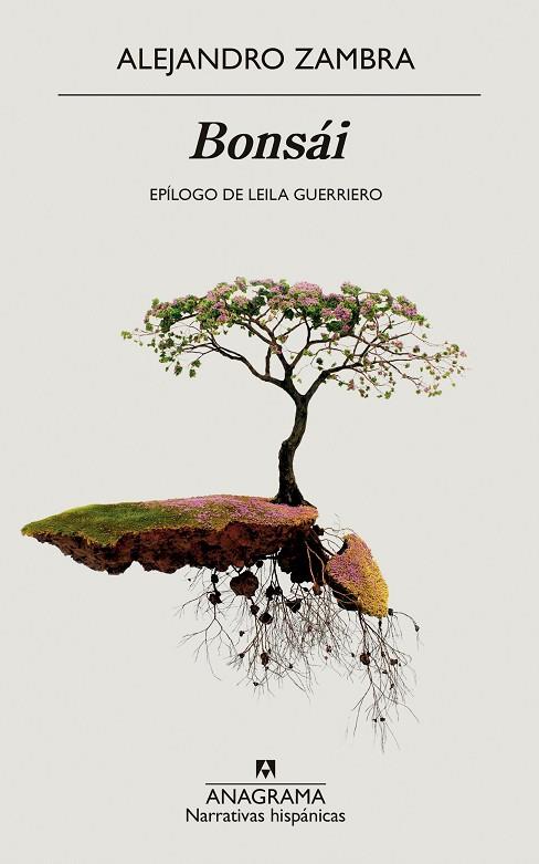 BONSÁI | 9788433999559 | ZAMBRA, ALEJANDRO | Llibres Parcir | Llibreria Parcir | Llibreria online de Manresa | Comprar llibres en català i castellà online