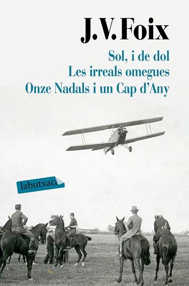 SOL, I DE DOL. LES IRREALS OMEGUES. ONZE NADALS I UN CAP D'ANY | 9788417031626 | FOIX I MAS, J. V. | Llibres Parcir | Librería Parcir | Librería online de Manresa | Comprar libros en catalán y castellano online