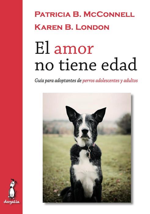 EL AMOR NO TIENE EDAD (GUIA PARA ADOPTANTES DE PERROS ADOLESCENTES Y ADULTOS) | 9788494290022 | A.A.V.V. | Llibres Parcir | Llibreria Parcir | Llibreria online de Manresa | Comprar llibres en català i castellà online