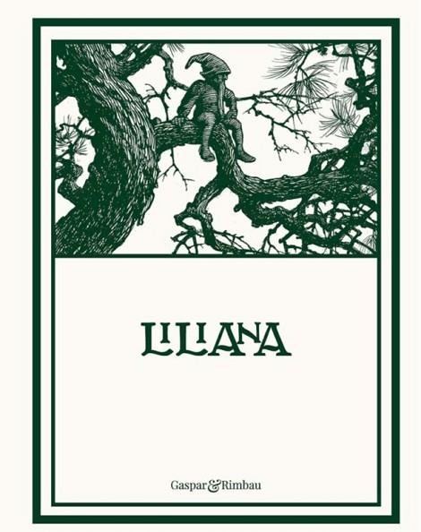 LILIANA | 9788418613449 | MESTRES, APELES | Llibres Parcir | Llibreria Parcir | Llibreria online de Manresa | Comprar llibres en català i castellà online