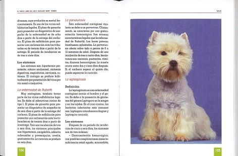 AKITA INU | 9788430589159 | GÓMEZ-TOLDRÀ, SALVADOR | Llibres Parcir | Llibreria Parcir | Llibreria online de Manresa | Comprar llibres en català i castellà online