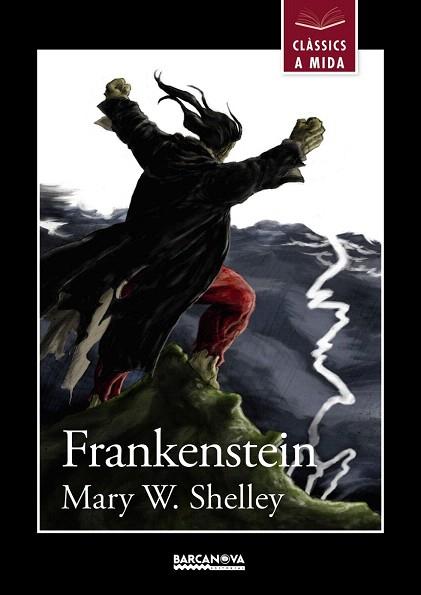 FRANKENSTEIN | 9788448934927 | SHELLEY, MARY W. | Llibres Parcir | Llibreria Parcir | Llibreria online de Manresa | Comprar llibres en català i castellà online