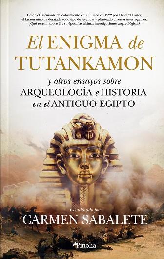 EL ENIGMA DE TUTANKAMÓN | 9788412336504 | CARMEN SABALETE GIL | Llibres Parcir | Librería Parcir | Librería online de Manresa | Comprar libros en catalán y castellano online