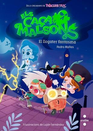 EL LLOGATER FANTASMA | 9788466148160 | MAÑAS ROMERO, PEDRO | Llibres Parcir | Librería Parcir | Librería online de Manresa | Comprar libros en catalán y castellano online