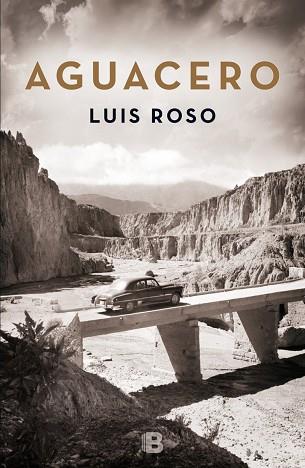 AGUACERO (NOVELA) | 9788466659215 | ROSO, LUIS | Llibres Parcir | Librería Parcir | Librería online de Manresa | Comprar libros en catalán y castellano online