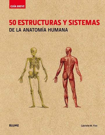 GUÍA BREVE. 50 ESTRUCTURAS Y SISTEMAS DE LA ANATOMÍA HUMANA (RÚSTICA) | 9788417056056 | FINN, GABRIELLE M. | Llibres Parcir | Librería Parcir | Librería online de Manresa | Comprar libros en catalán y castellano online