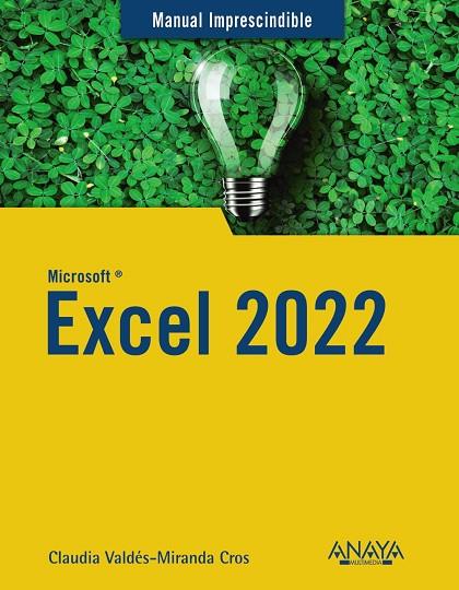 EXCEL 2022 | 9788441545182 | VALDÉS-MIRANDA, CLAUDIA | Llibres Parcir | Librería Parcir | Librería online de Manresa | Comprar libros en catalán y castellano online