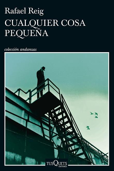 CUALQUIER COSA PEQUEÑA | 9788411074728 | REIG, RAFAEL | Llibres Parcir | Llibreria Parcir | Llibreria online de Manresa | Comprar llibres en català i castellà online