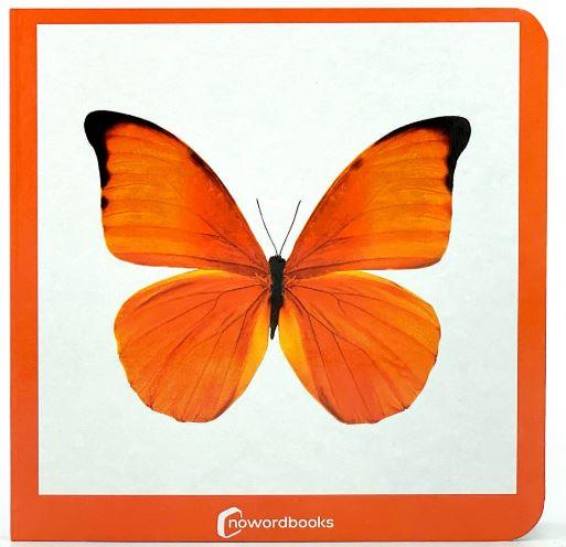 NARANJA | 9788412534443 | NOWORDBOOKS | Llibres Parcir | Llibreria Parcir | Llibreria online de Manresa | Comprar llibres en català i castellà online