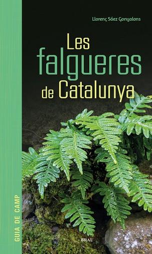 LES FALGUERES DE CATALUNYA | 9791387701017 | SÁEZ GONYALONS, LLORENÇ | Llibres Parcir | Librería Parcir | Librería online de Manresa | Comprar libros en catalán y castellano online