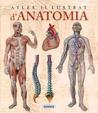 Atles il-lustrat d'anatomia | 9788467702101 | Rigutti, Adriana | Llibres Parcir | Llibreria Parcir | Llibreria online de Manresa | Comprar llibres en català i castellà online