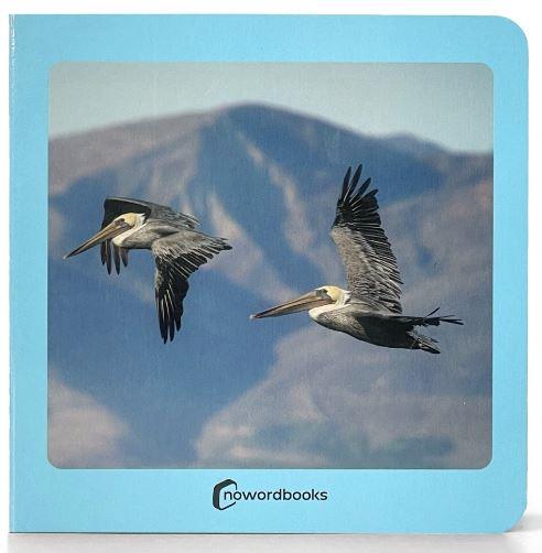 AVES | 9788412534498 | AA.VV. | Llibres Parcir | Librería Parcir | Librería online de Manresa | Comprar libros en catalán y castellano online
