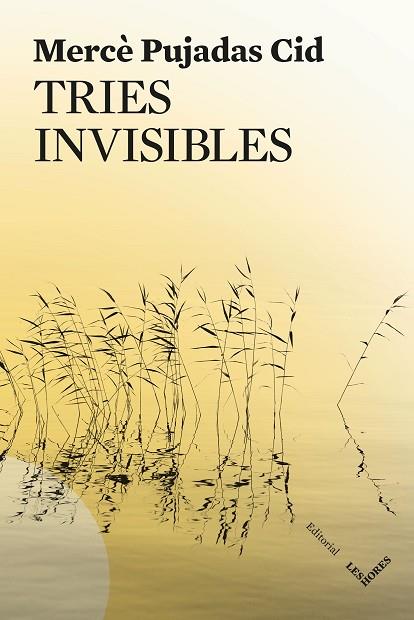 TRIES INVISIBLES | 9791399072150 | PUJADAS CID, MERCÈ | Llibres Parcir | Llibreria Parcir | Llibreria online de Manresa | Comprar llibres en català i castellà online