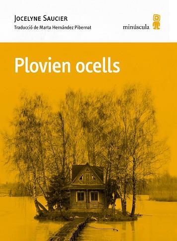 PLOVIEN OCELLS | 9788412662092 | SAUCIER, JOCELYNE | Llibres Parcir | Librería Parcir | Librería online de Manresa | Comprar libros en catalán y castellano online