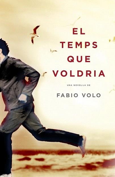 EL TEMPS QUE VOLDRIA | 9788401339325 | VOLO FABIO | Llibres Parcir | Llibreria Parcir | Llibreria online de Manresa | Comprar llibres en català i castellà online